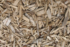 biomass boilers Whiteinch